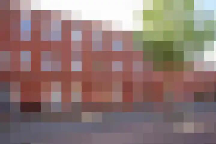 Paul Kleestraat 45 Utrecht thumbnail 43
