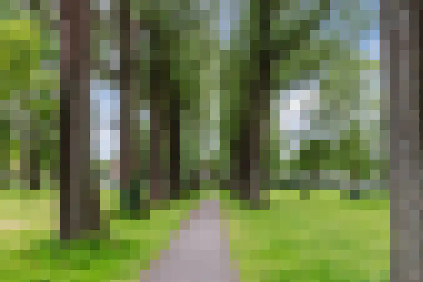 Paul Krugerkade 19 RD Haarlem thumbnail 41