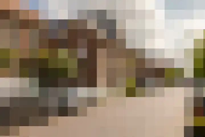 Paul Krugerkade 35 B Haarlem thumbnail 31