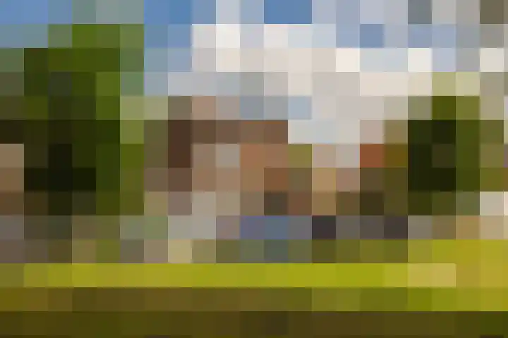 Paul Krugerkade 35 B Haarlem thumbnail 32