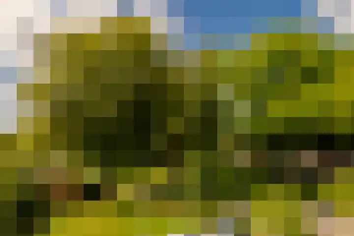 Paul Krugerkade 35 B Haarlem thumbnail 33