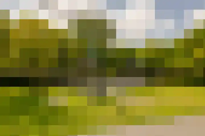 Paul Krugerkade 35 B Haarlem thumbnail 36