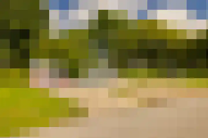 Paul Krugerkade 35 B Haarlem thumbnail 37