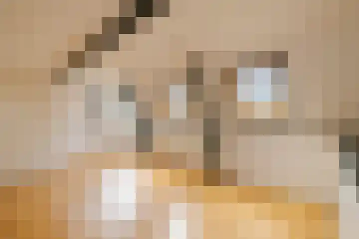 Paul Krugerkade 35 B Haarlem thumbnail 9