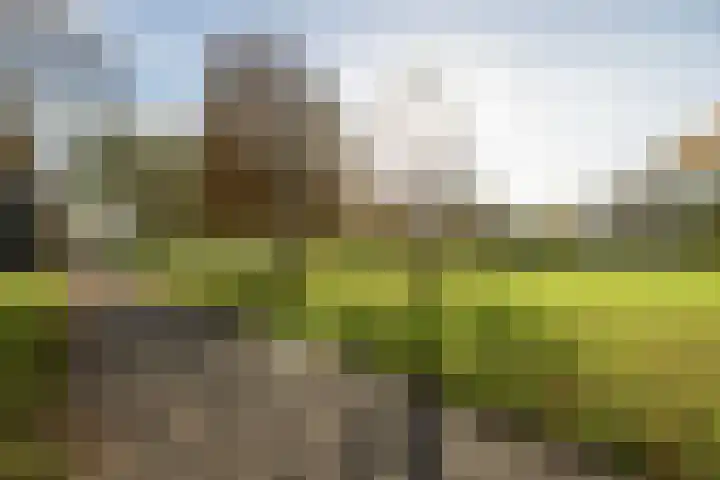 Paul Krugerkade 9 B Haarlem thumbnail 33