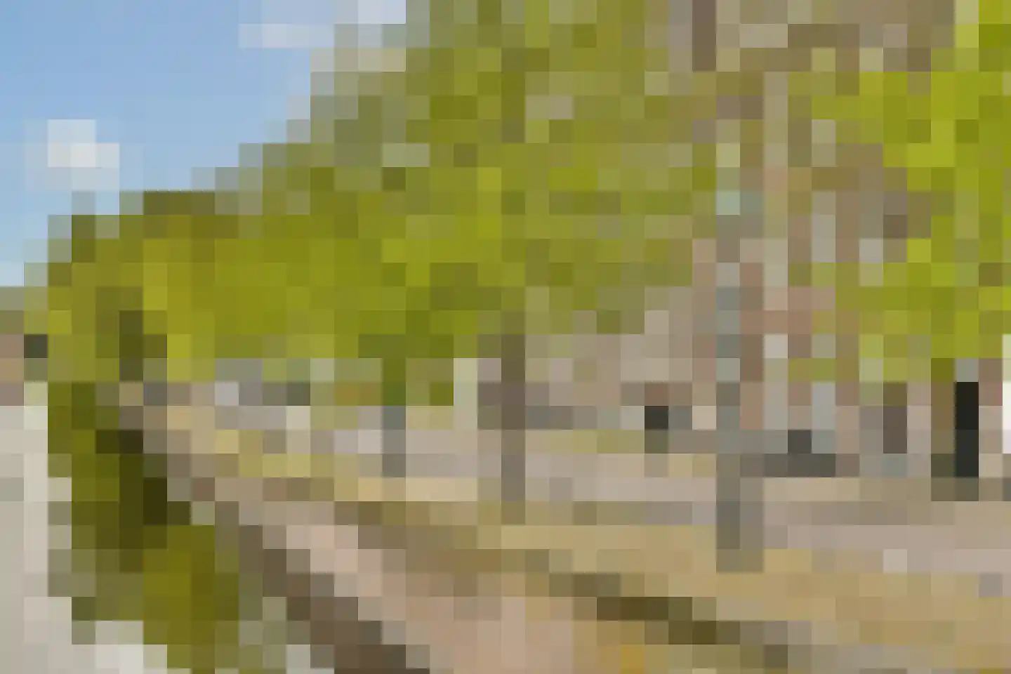 Paul Krugerlaan 116 Den Haag thumbnail 17