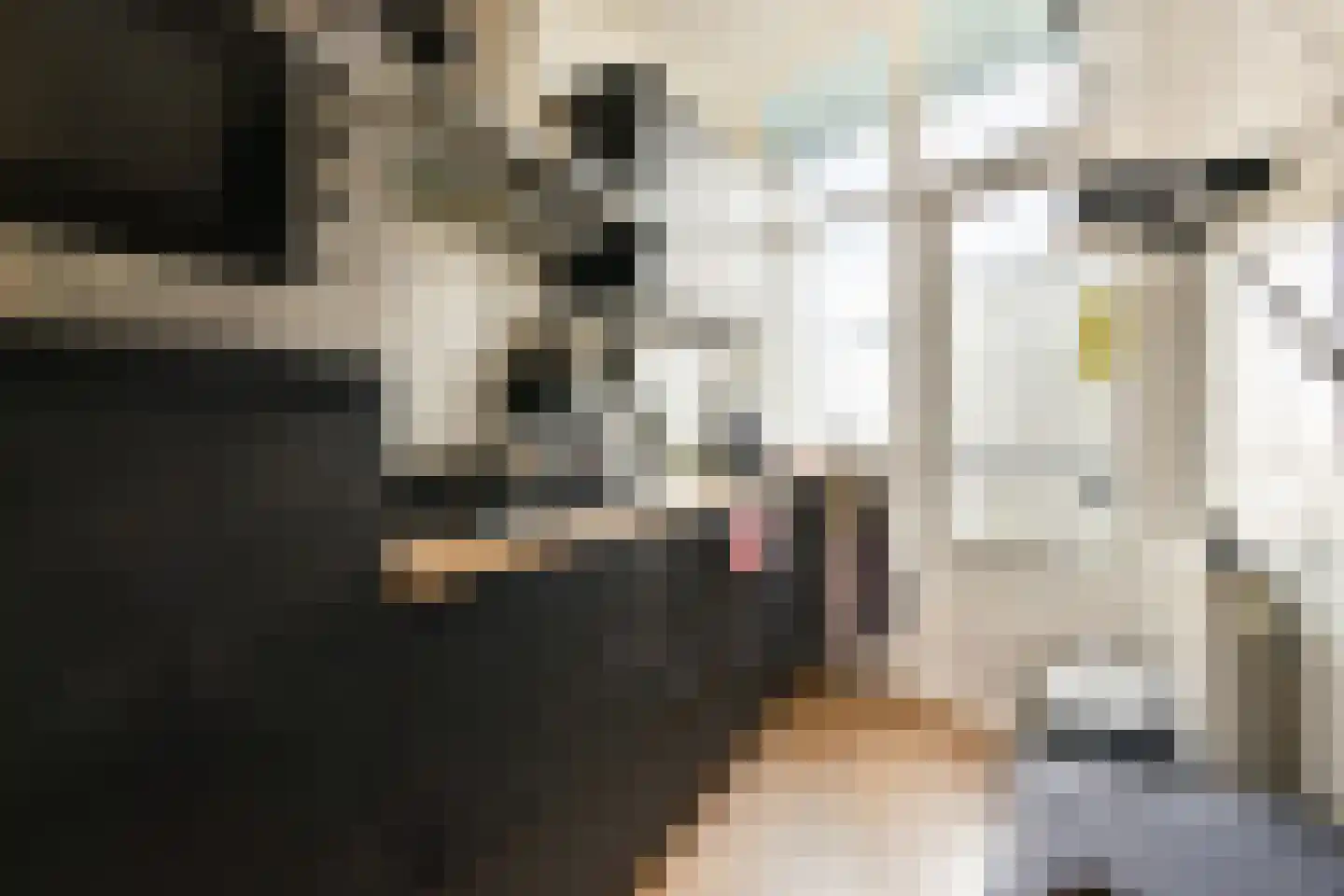 Paul Krugerlaan 116 Den Haag thumbnail 5