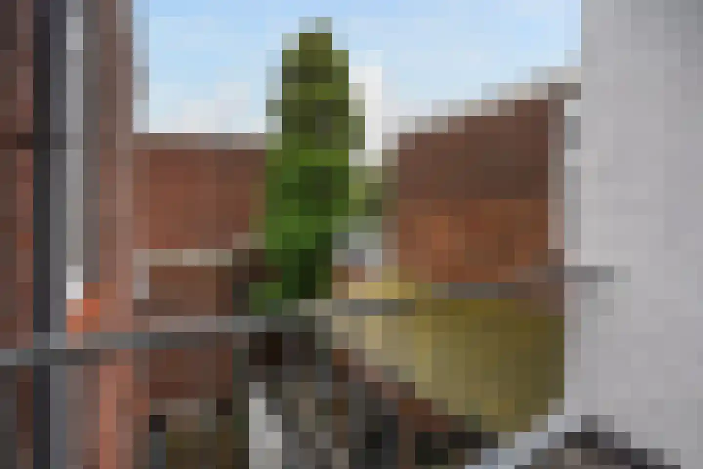 Paul Krugerlaan 130 Den Haag thumbnail 22