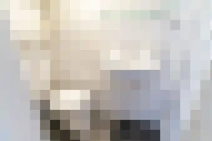 Paul Krugerlaan 159 B Den Haag thumbnail 8