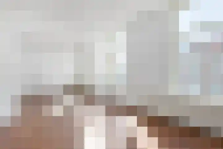 Paul Krugerlaan 231 B Den Haag thumbnail 13