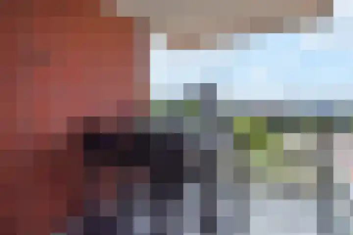 Paul Krugerlaan 293 Den Haag thumbnail 13