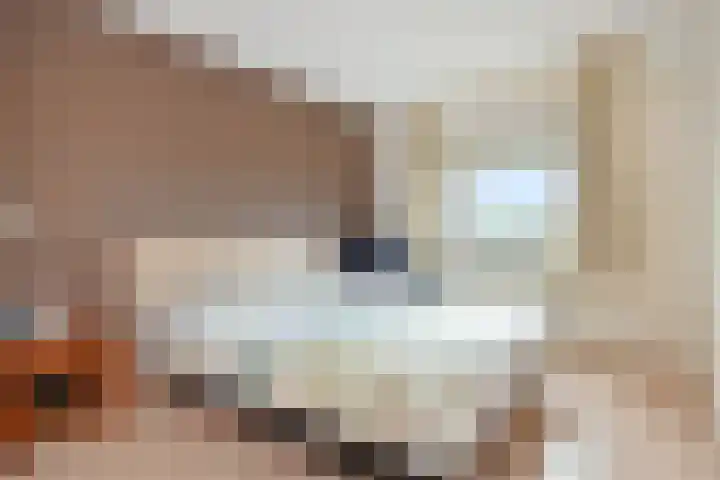 Paul Krugerlaan 293 Den Haag thumbnail 17