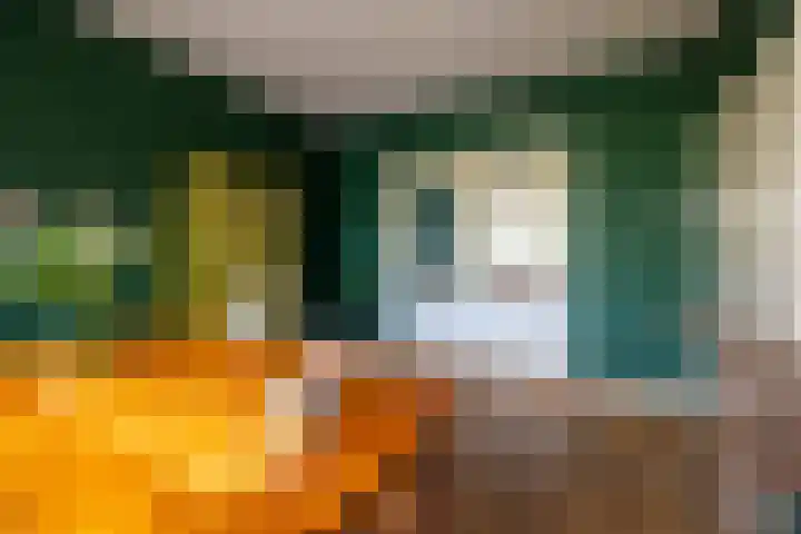 Paul Krugerlaan 6 Doetinchem thumbnail 12