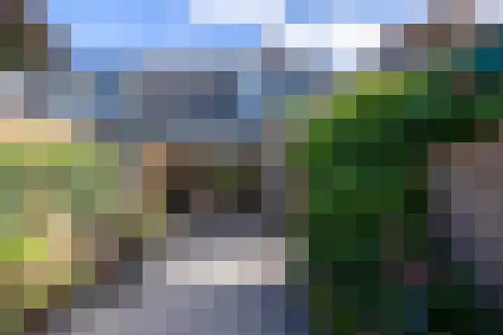 Paul Krugerlaan 6 Doetinchem thumbnail 26