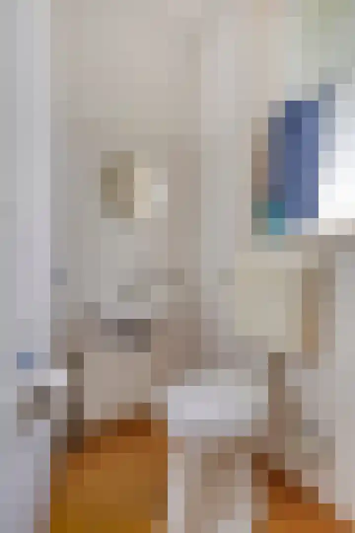 Paul Krügerlaan 85 Eindhoven thumbnail 19