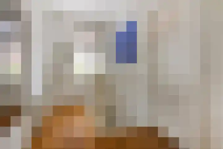 Paul Krügerlaan 85 Eindhoven thumbnail 26