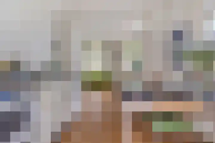Paul Krügerlaan 85 Eindhoven thumbnail 30