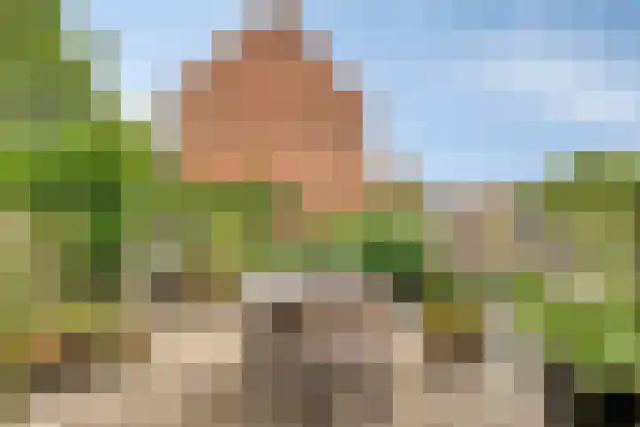 Paul Krügerlaan 85 Eindhoven thumbnail 4