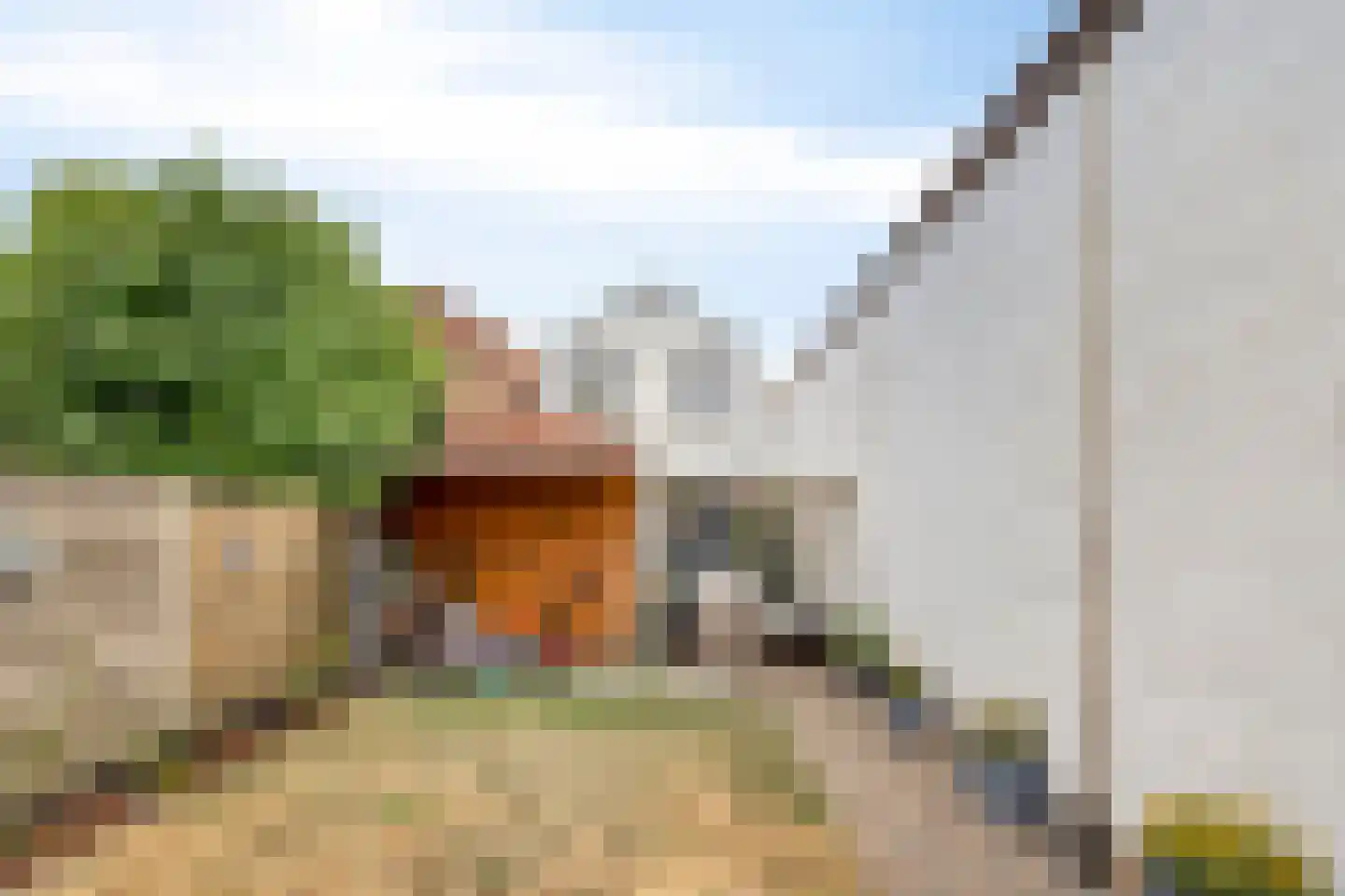 Paul Krügersdreef 18 Sas van Gent thumbnail 29