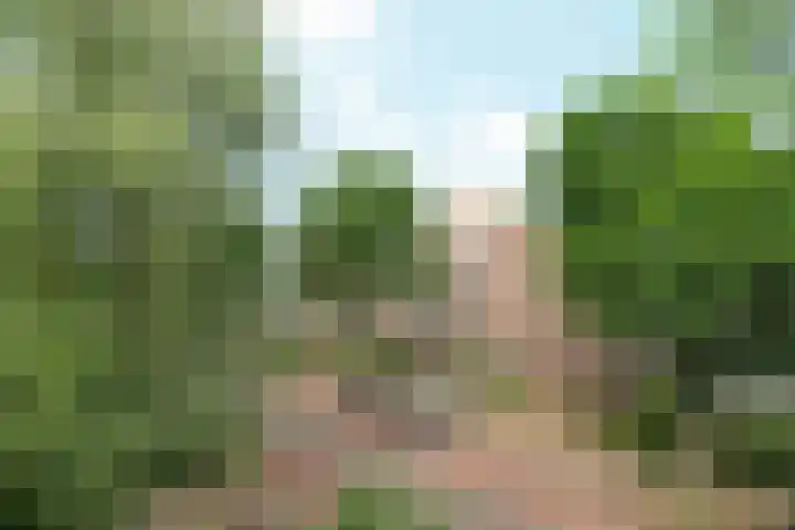 Paul Krugerstraat 1 2 Arnhem thumbnail 17