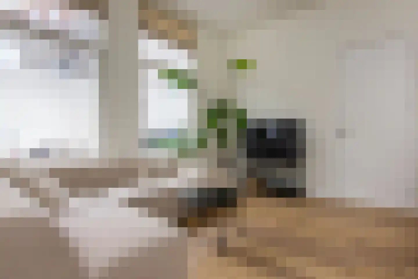 Paul Krugerstraat 1 Haarlem thumbnail 5