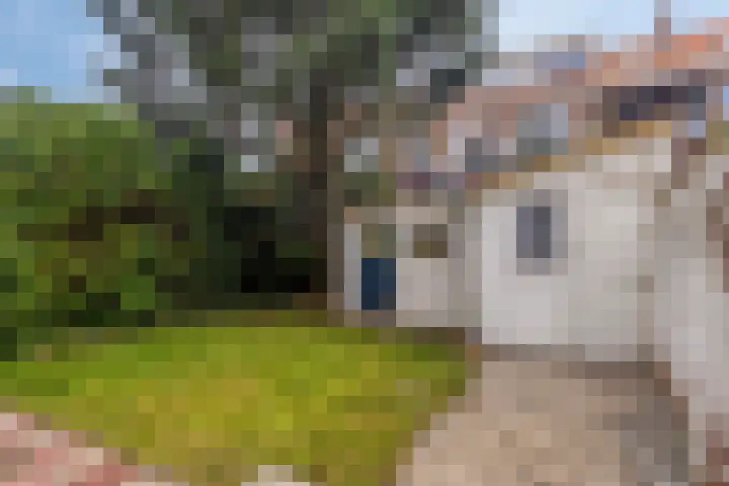 Paul Krugerstraat 100 Vlissingen thumbnail 13