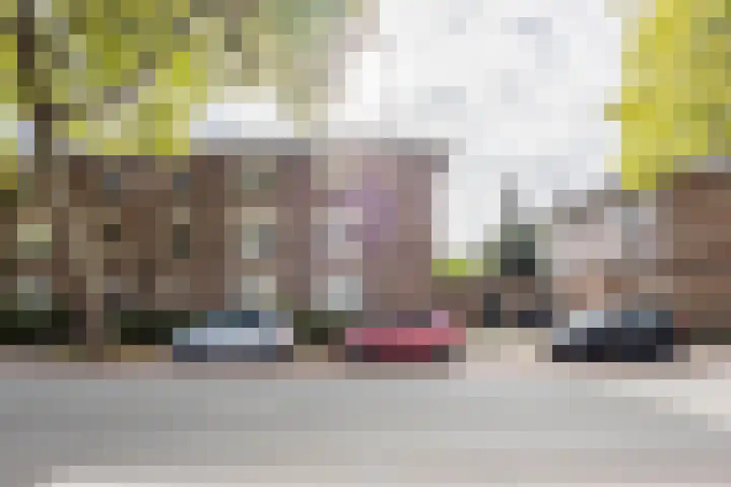 Paul Krugerstraat 103 Nijmegen thumbnail 22