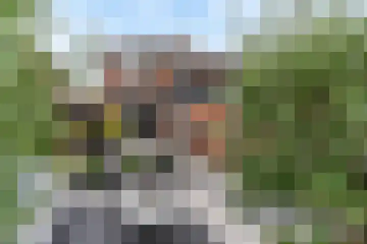 Paul Krugerstraat 108 Ridderkerk thumbnail 16