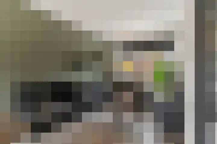 Paul Krugerstraat 108 Ridderkerk thumbnail 9