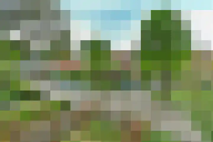 Paul Krugerstraat 11 Oosterbeek thumbnail 28