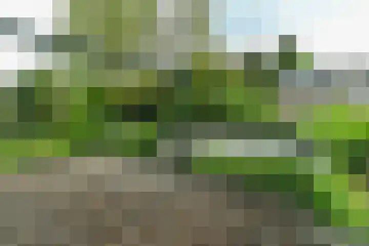 Paul Krugerstraat 11 Oosterbeek thumbnail 32