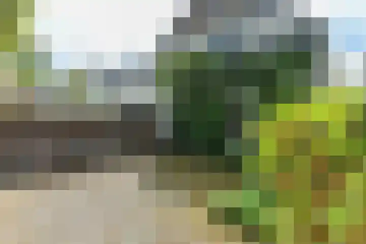 Paul Krugerstraat 11 Oosterbeek thumbnail 35