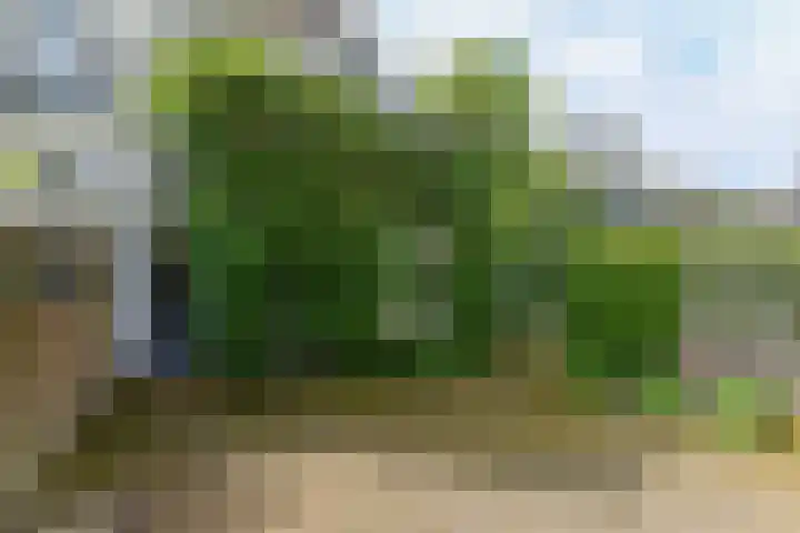 Paul Krugerstraat 11 Oosterbeek thumbnail 36