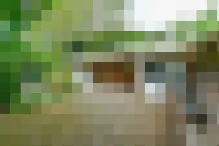 Paul Krugerstraat 11 Oosterbeek thumbnail 37