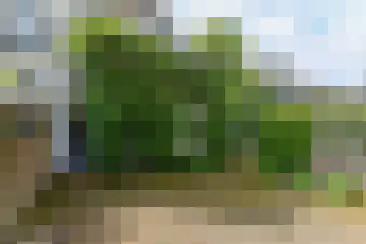 Paul Krugerstraat 11 Oosterbeek thumbnail 44