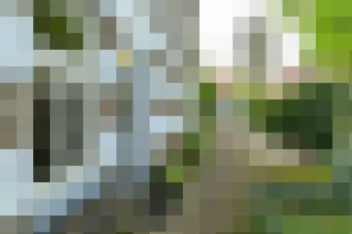 Paul Krugerstraat 11 Oosterbeek thumbnail 7