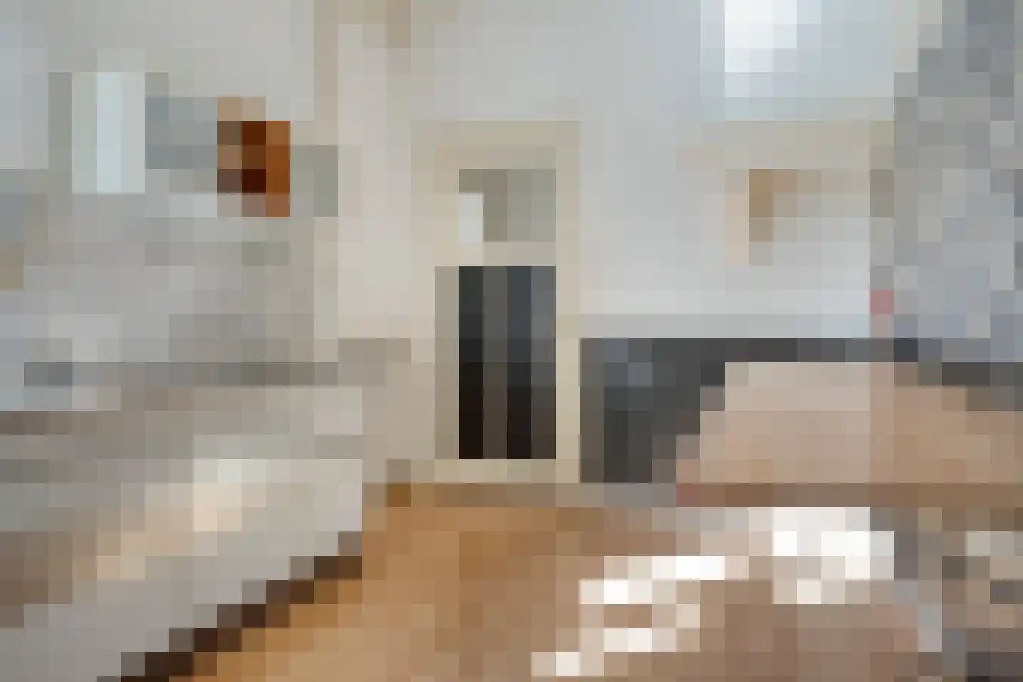 Paul Krugerstraat 110 Vlissingen thumbnail 7