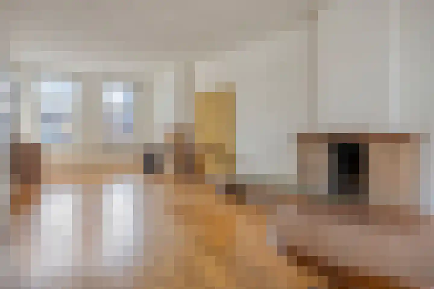 Paul Krugerstraat 112 Vlissingen thumbnail 5