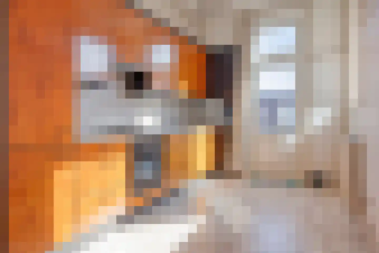 Paul Krugerstraat 112 Vlissingen thumbnail 6