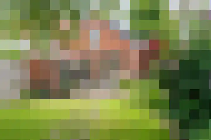 Paul Krugerstraat 14 Winschoten thumbnail 53