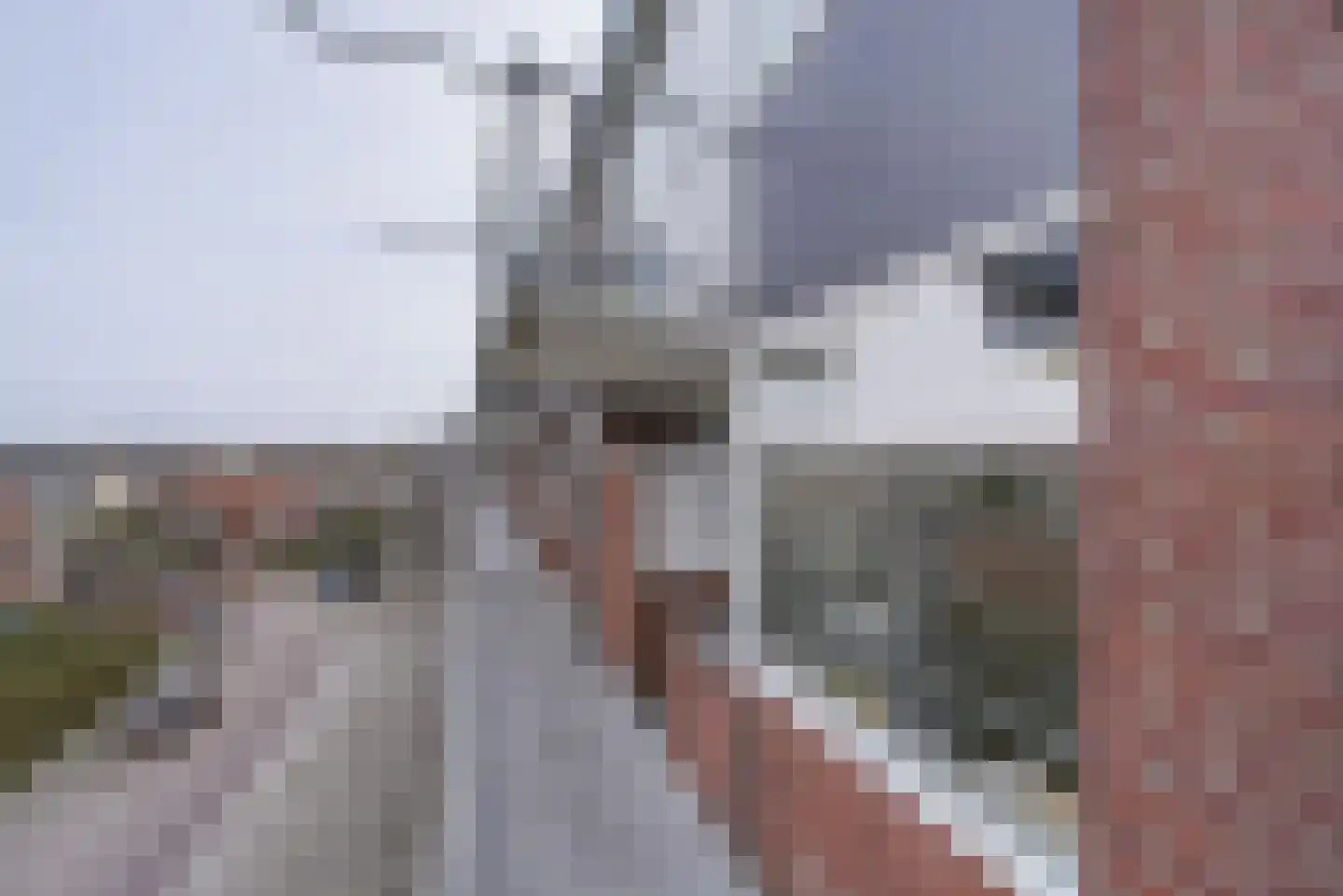 Paul Krugerstraat 143 Vlissingen thumbnail 21
