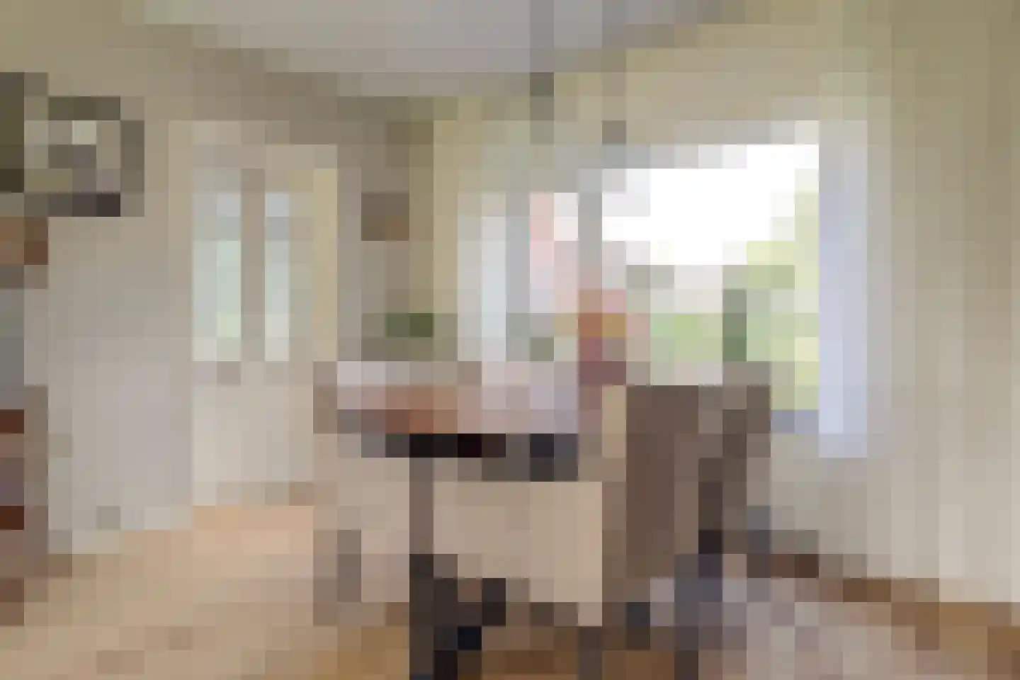 Paul Krugerstraat 15 Emmer-Compascuum thumbnail 10