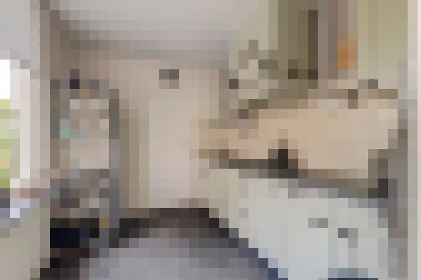 Paul Krugerstraat 15 Emmer-Compascuum thumbnail 15