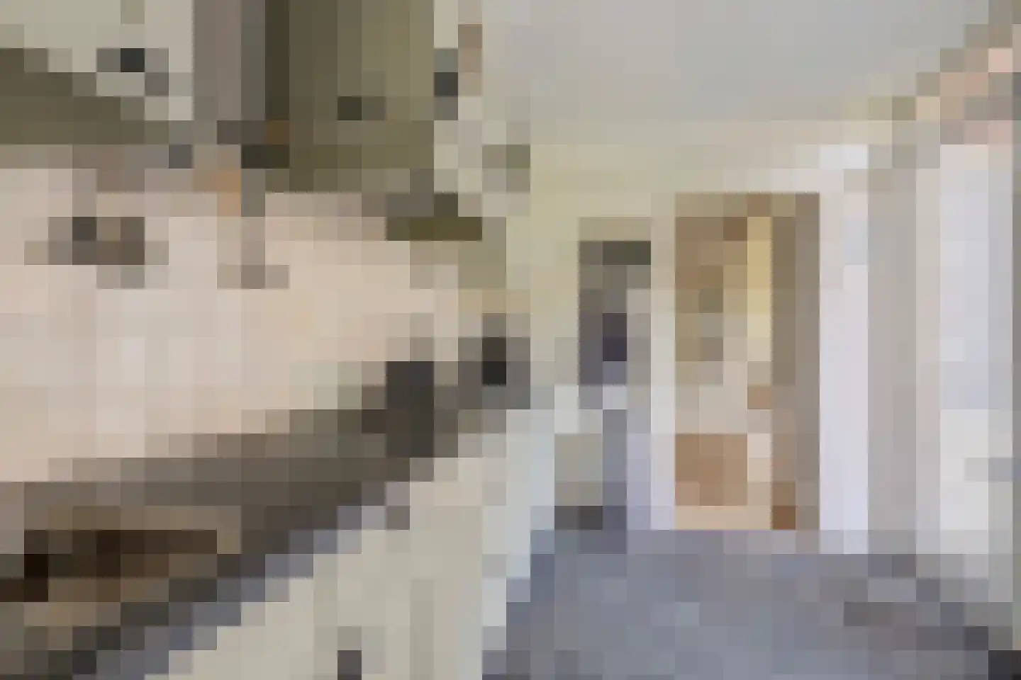 Paul Krugerstraat 15 Emmer-Compascuum thumbnail 16