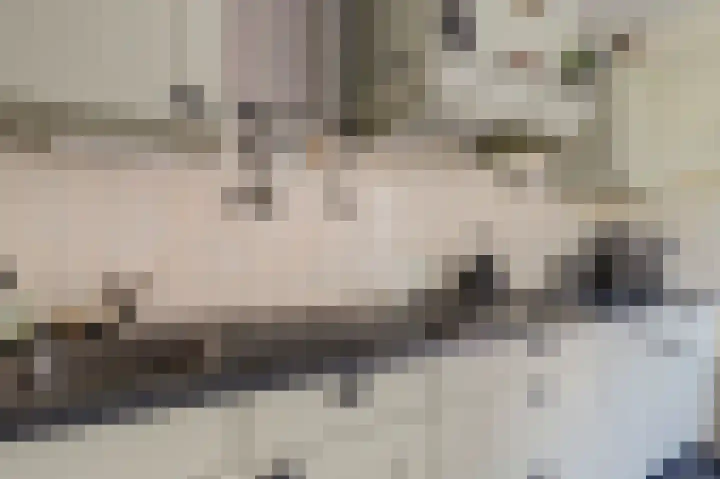 Paul Krugerstraat 15 Emmer-Compascuum thumbnail 18