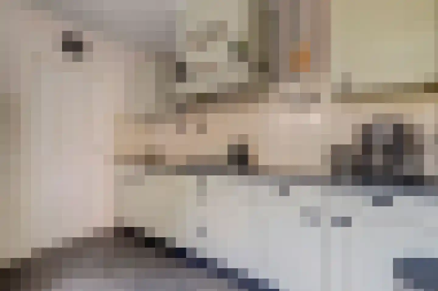Paul Krugerstraat 15 Emmer-Compascuum thumbnail 19