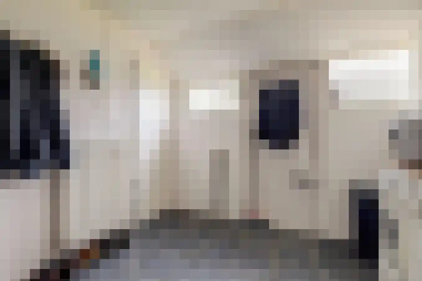 Paul Krugerstraat 15 Emmer-Compascuum thumbnail 21