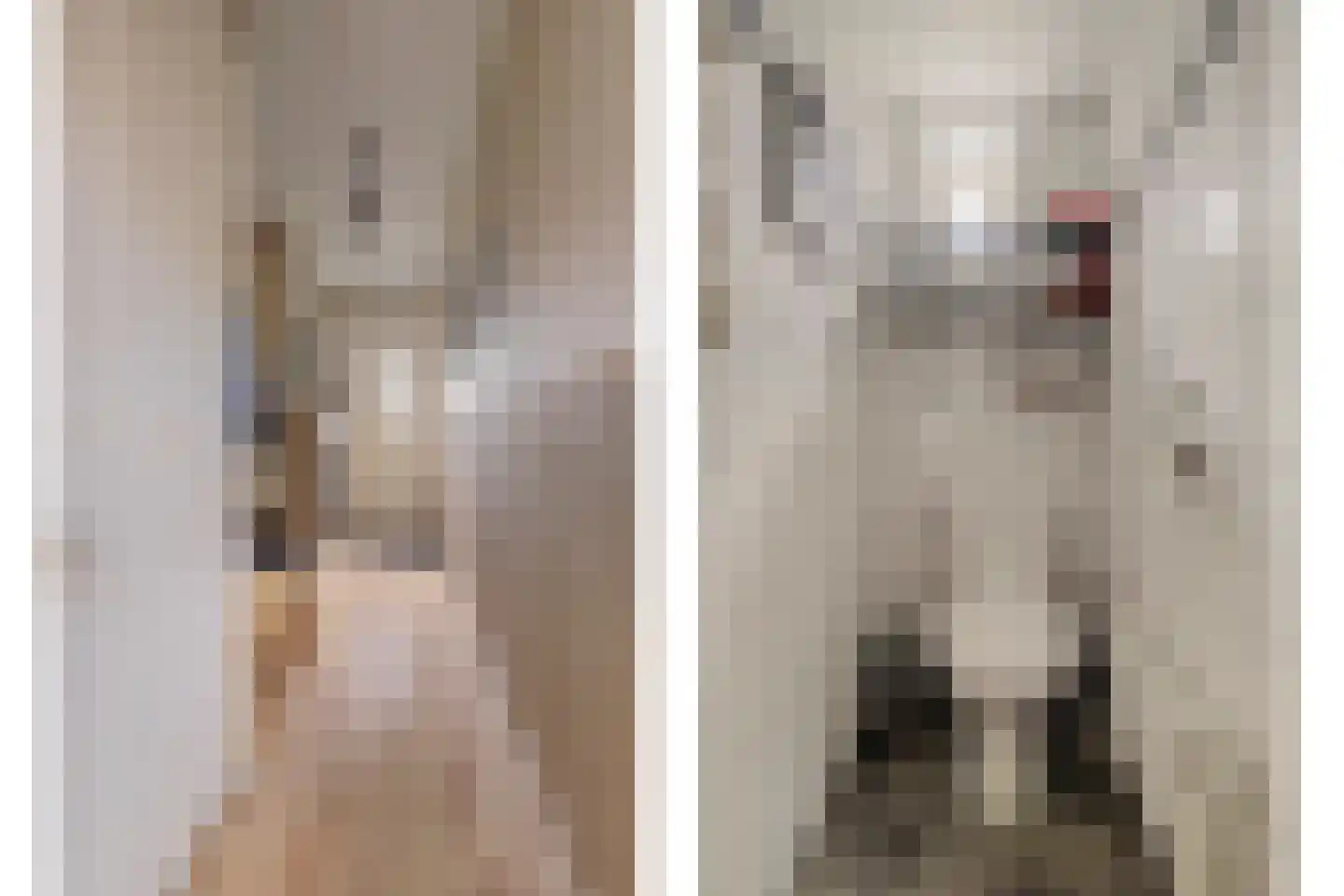Paul Krugerstraat 15 Emmer-Compascuum thumbnail 22