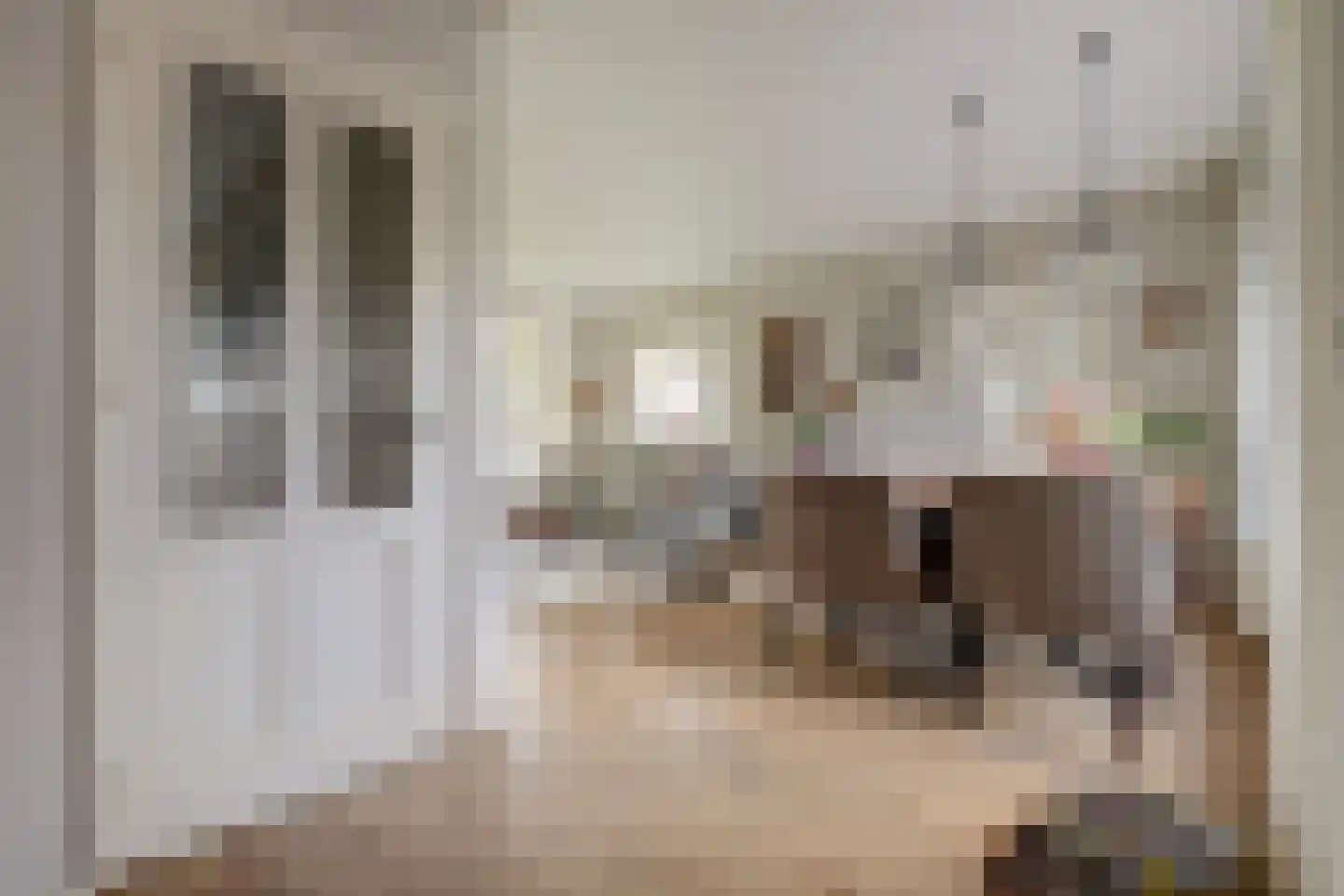 Paul Krugerstraat 15 Emmer-Compascuum thumbnail 8
