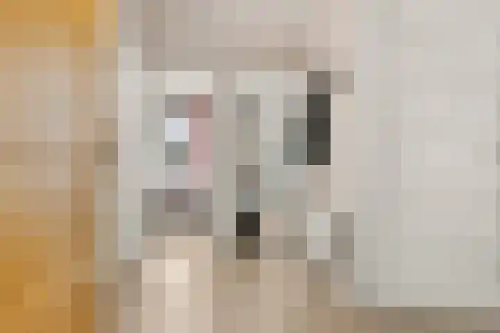 Paul Krugerstraat 15 Nijmegen thumbnail 23